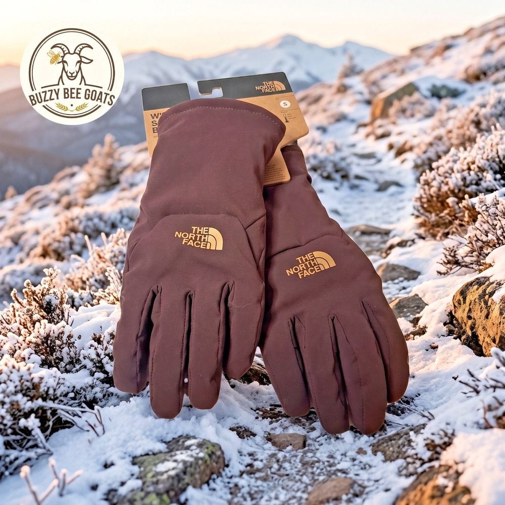 The North Face Women's Shelbe Raschel Etip Fleece Gloves Brown Size S Winter